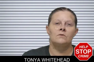 Tonya Whitehead mugshot