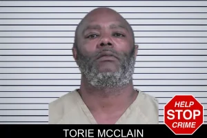 Torie McClain mugshot