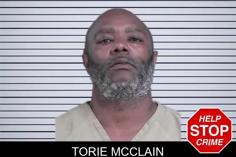 Torie McClain mugshot
