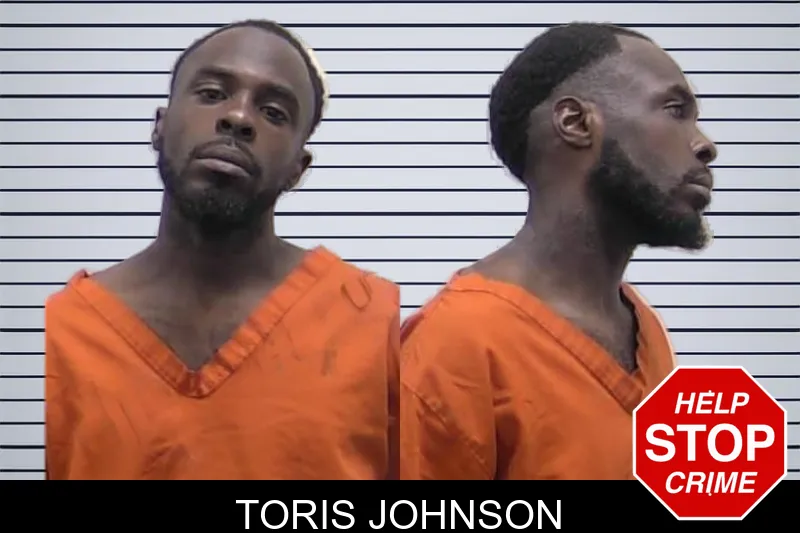 Toris Johnson mugshot