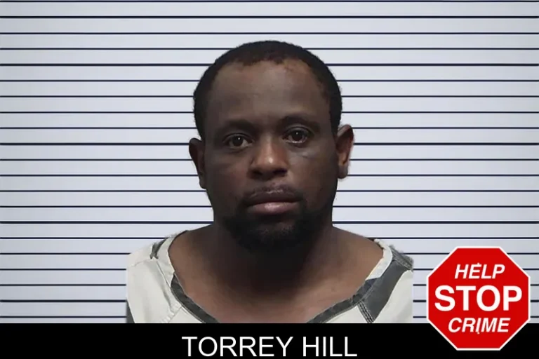Torrey Hill