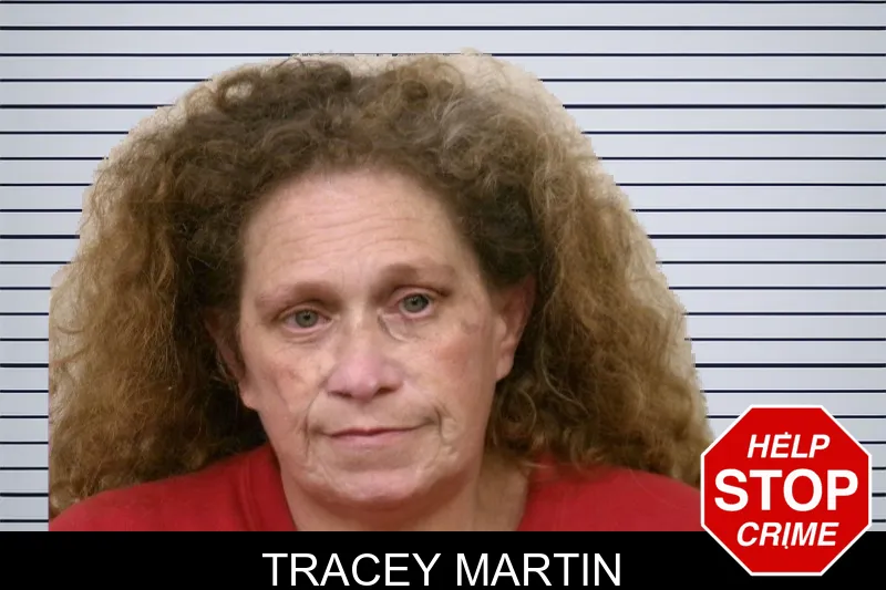 Tracey Martin mugshot – Bulloch County , Georgia Tracey Martin mugshot