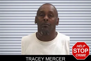 Tracey Mercer mugshot