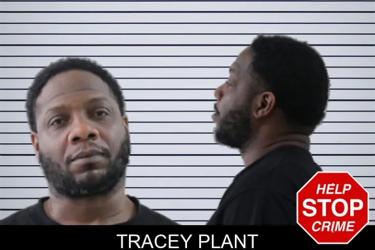 Tracey Plant