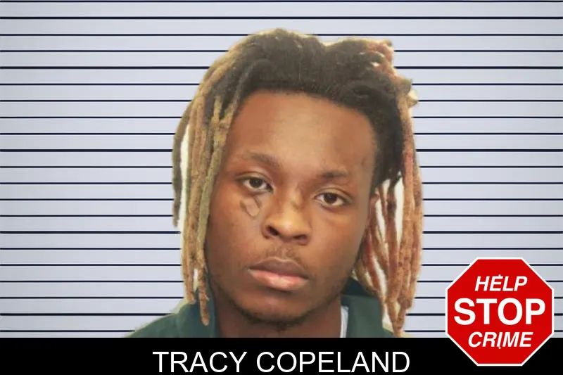 Tracy Copeland mugshot – Chatham County , Georgia Tracy Copeland mugshot