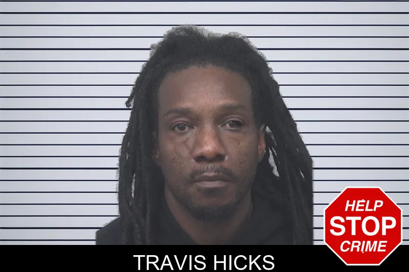 Travis Hicks mugshot