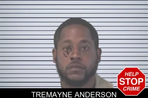 Tremayne Anderson mugshot