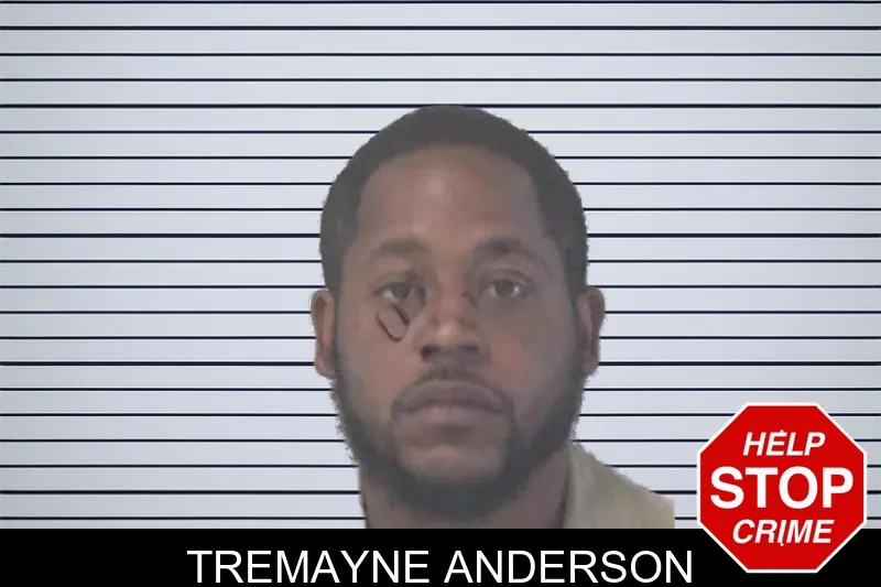 Tremayne Anderson mugshot