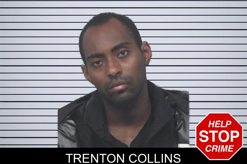 Trenton Collins mugshot