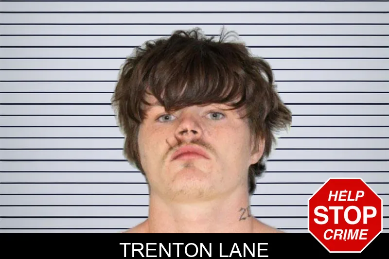 Trenton Lane mugshot – Hall County , Georgia Trenton Lane mugshot