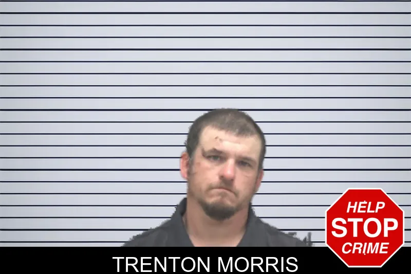 Trenton Morris mugshot