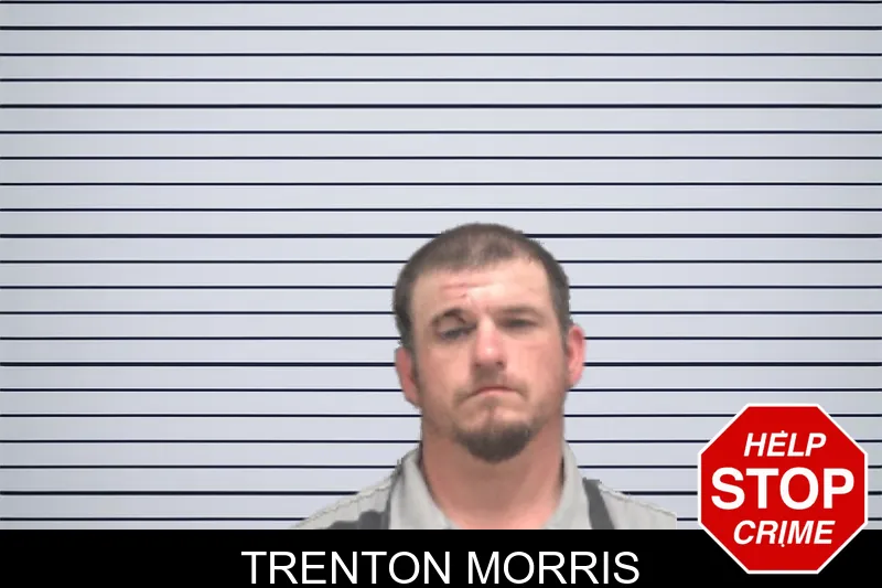 Trenton Morris mugshot