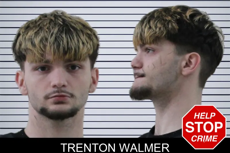 Trenton Walmer mugshot