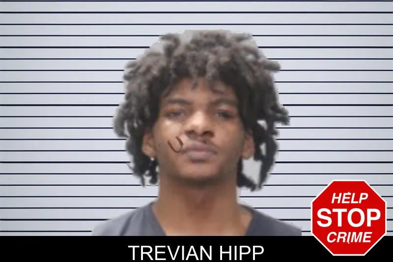 Trevian Hipp mugshot