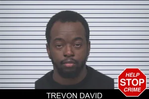 Trevon David mugshot