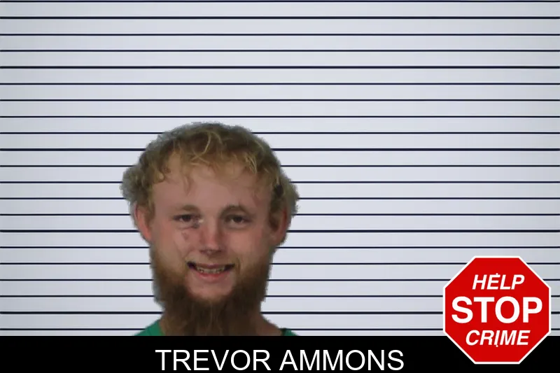 Trevor Ammons mugshot – Mcintosh County , Georgia Trevor Ammons mugshot