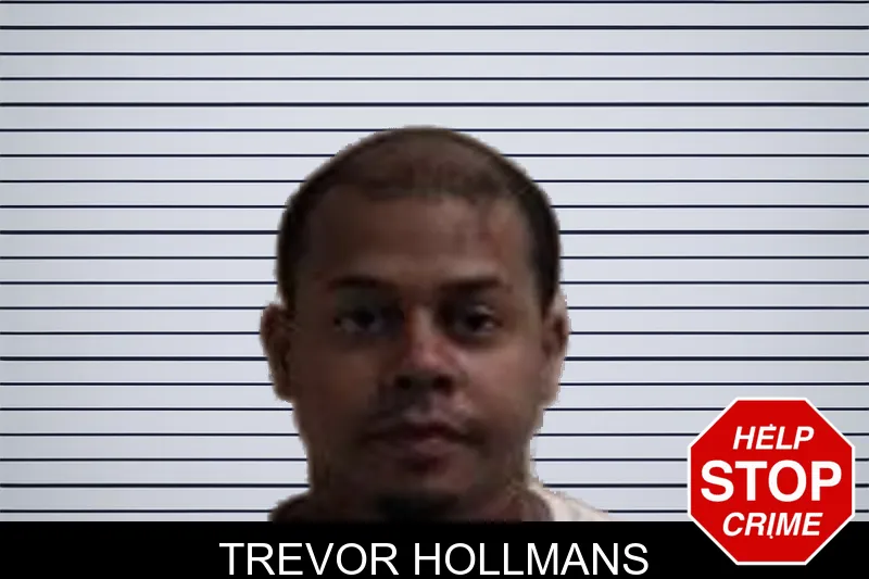 Trevor Hollmans mugshot