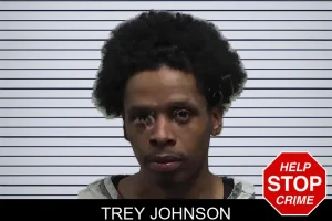 Trey Johnson mugshot