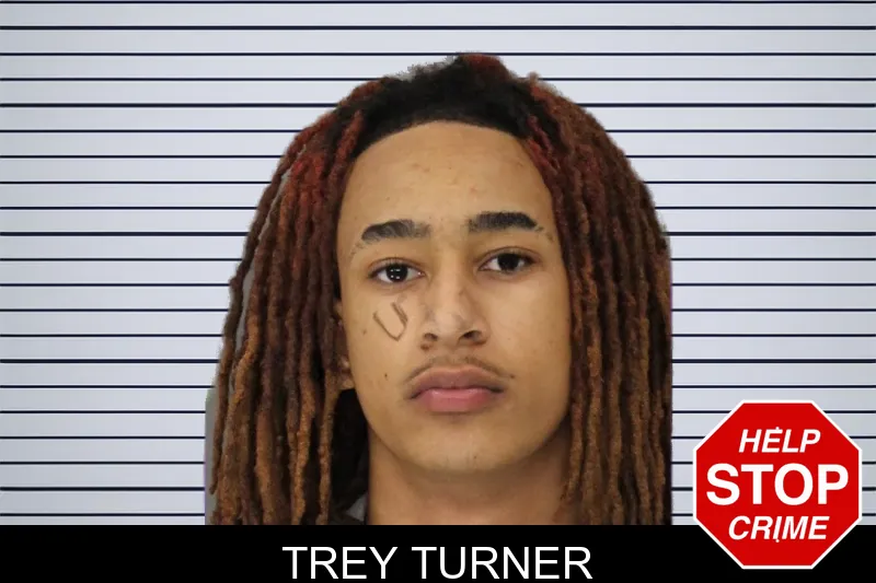 Trey Turner mugshot