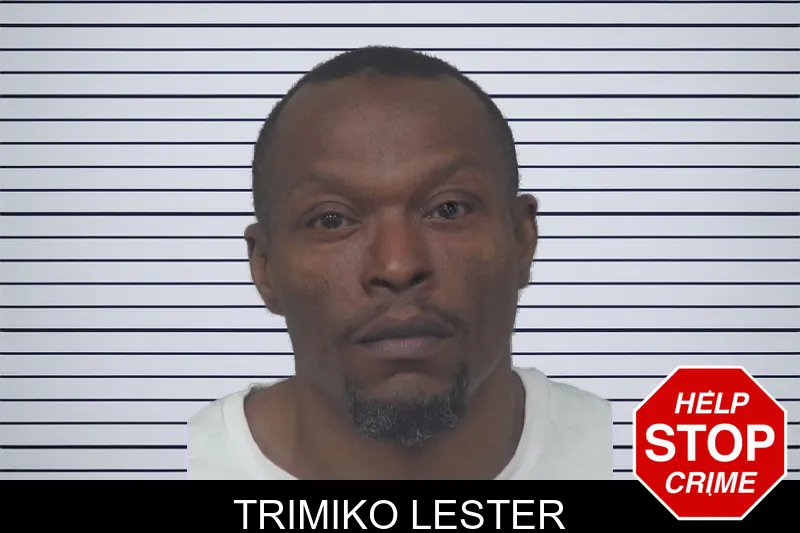 Trimiko Lester mugshot – Gwinnett County , Georgia Trimiko Lester mugshot
