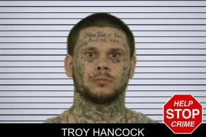 Troy Hancock mugshot