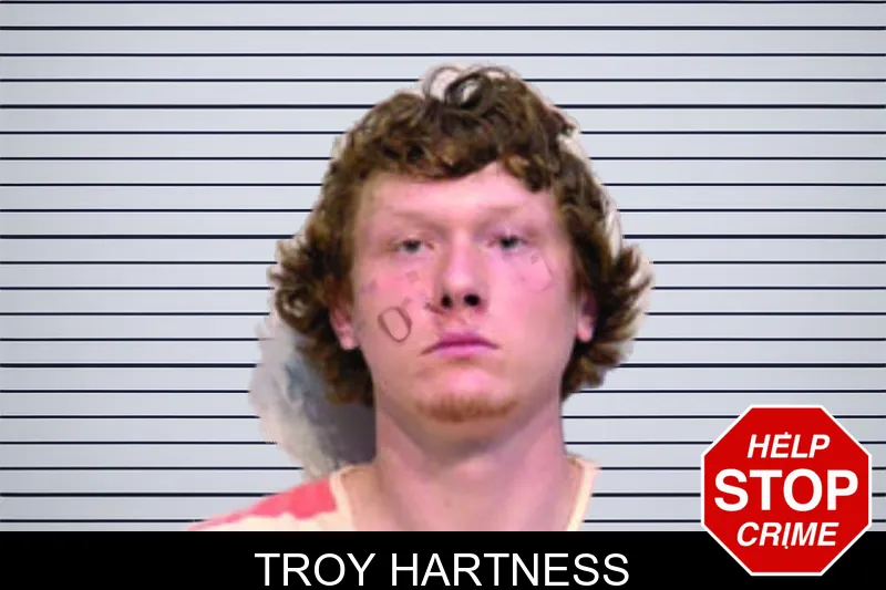 Troy Hartness mugshot
