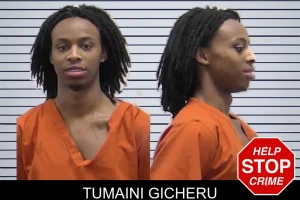 Tumaini Gicheru mugshot