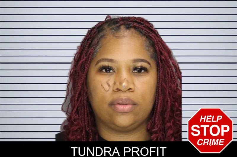 Tundra Profit mugshot – Cobb County , Georgia Tundra Profit mugshot