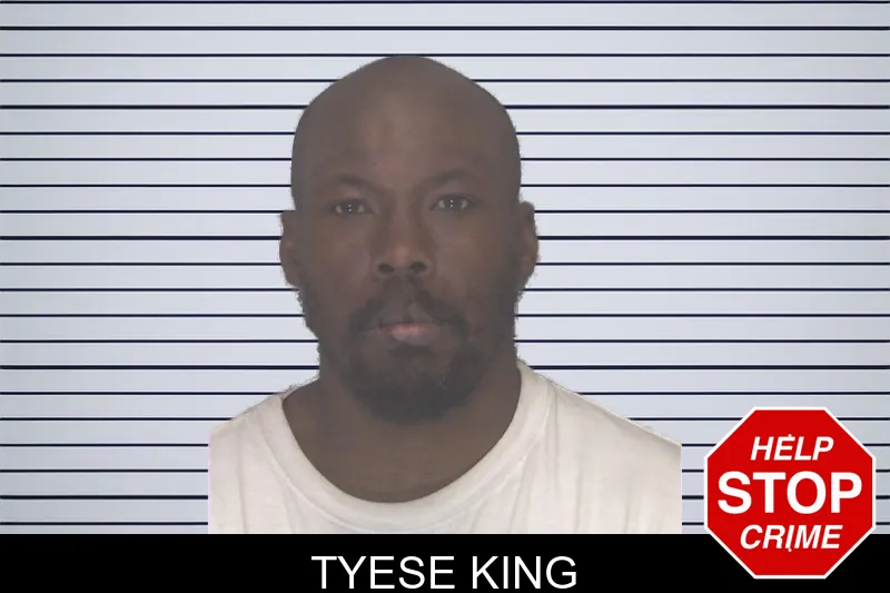 Tyese King mugshot