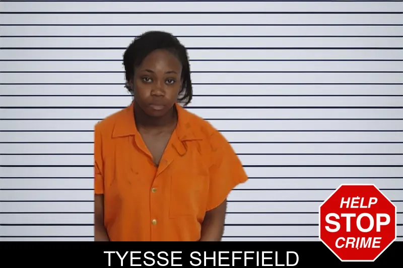 Tyesse Sheffield mugshot