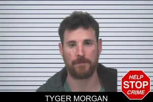 Tyger Morgan mugshot