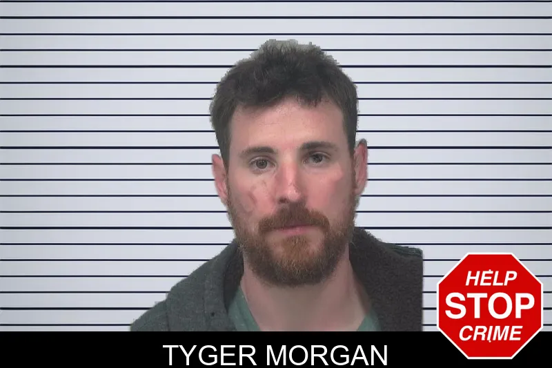Tyger Morgan mugshot