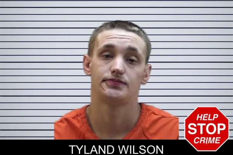 Tyland Wilson mugshot – Madison County , Georgia Tyland Wilson