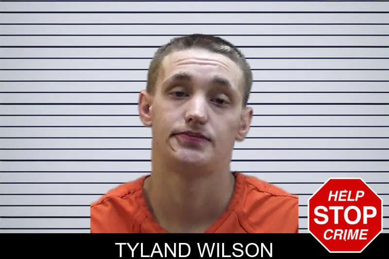 Tyland Wilson mugshot