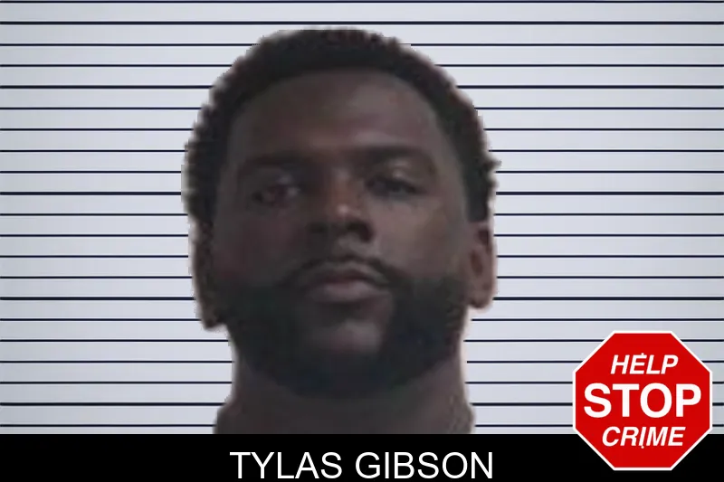 Tylas Gibson mugshot