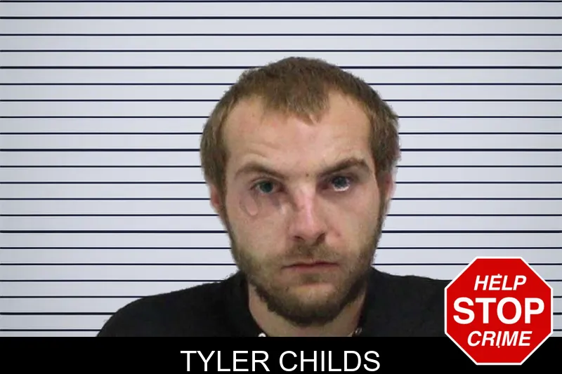 Tyler Childs mugshot