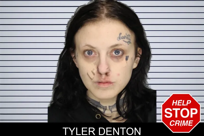 Tyler Denton mugshot