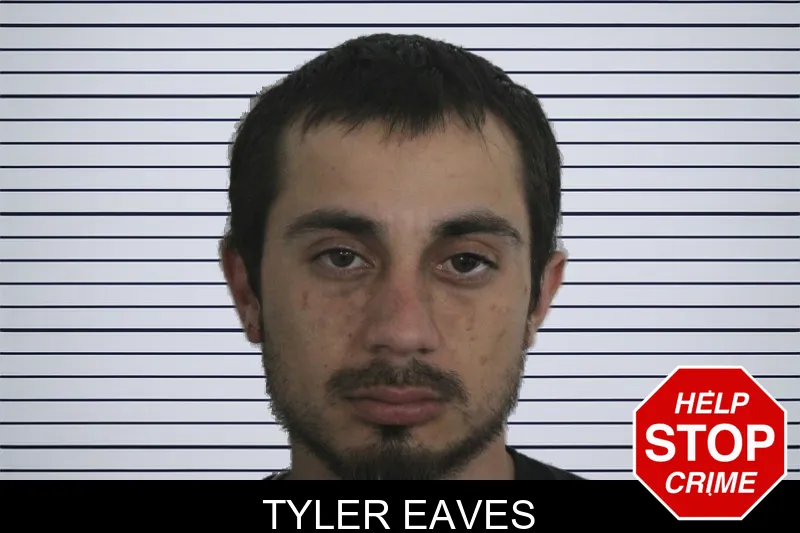 Tyler Eaves mugshot – Floyd County , Georgia Tyler Eaves mugshot