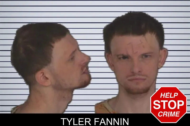 Tyler Fannin mugshot