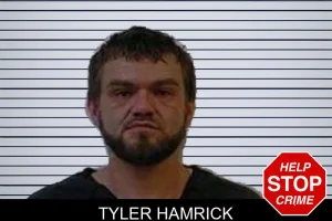 Tyler Hamrick mugshot