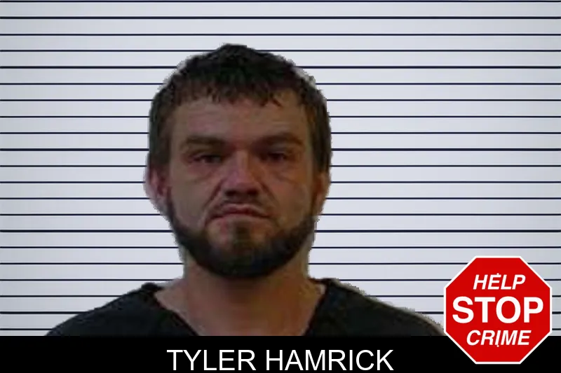 Tyler Hamrick mugshot