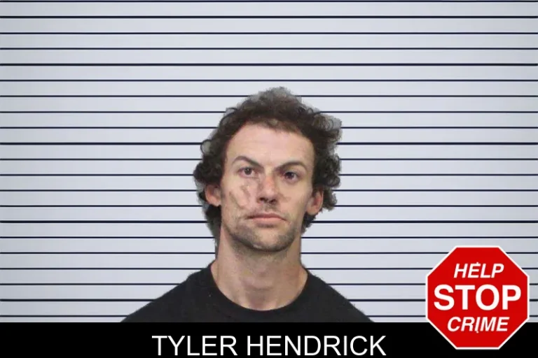 Tyler Hendrick mugshot – White County , Georgia Tyler Hendrick