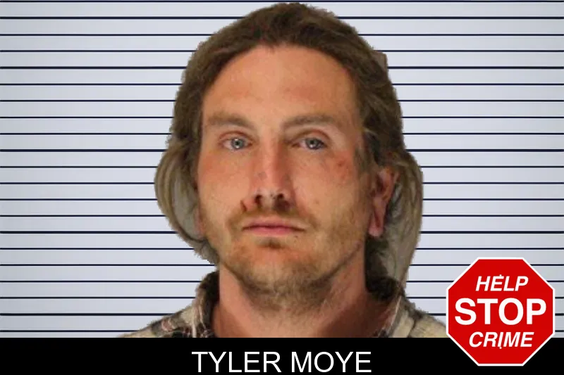 Tyler Moye mugshot