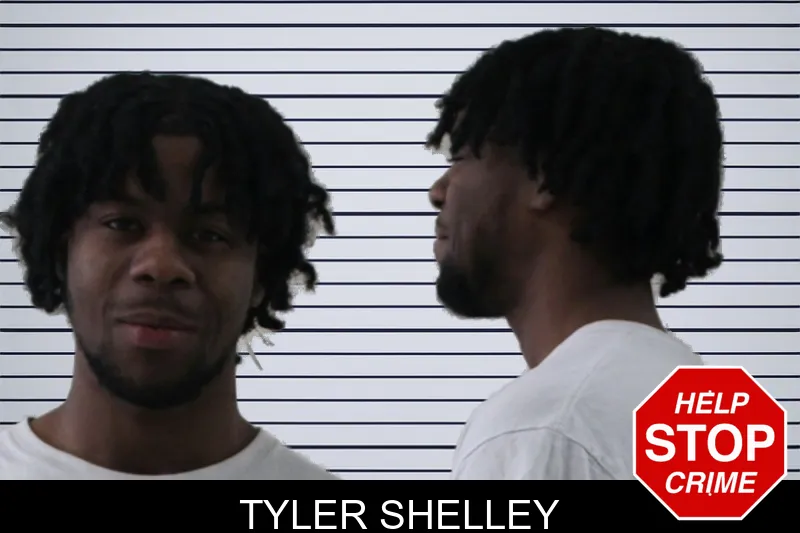 Tyler Shelley mugshot