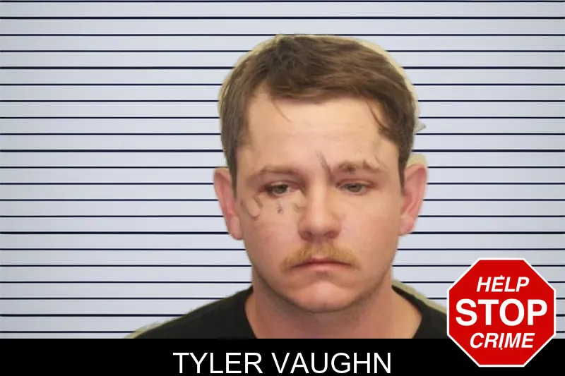 Tyler Vaughn mugshot