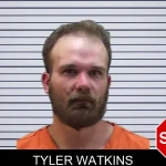 Tyler Watkins mugshot