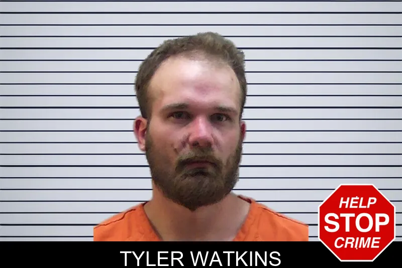 Tyler Watkins mugshot