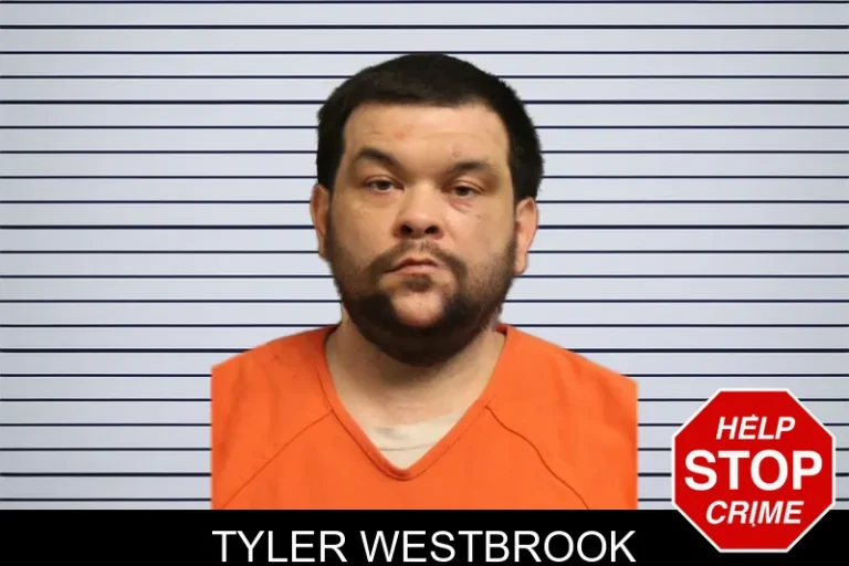Tyler Westbrook mugshot – Lumpkin County , Georgia Tyler Westbrook