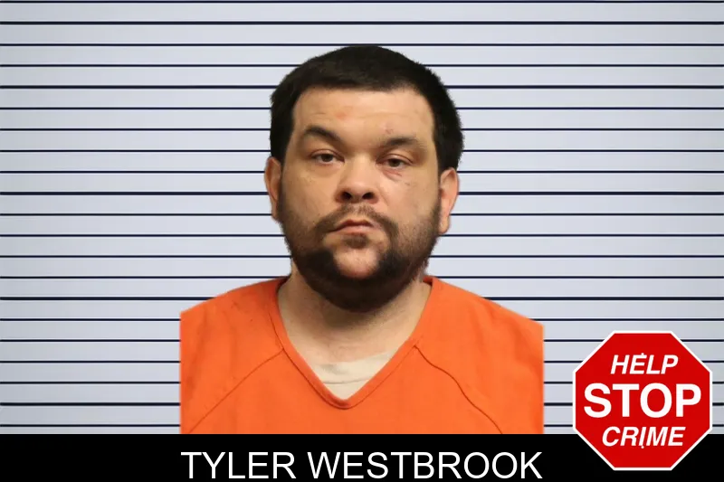Tyler Westbrook mugshot – Lumpkin County , Georgia Tyler Westbrook mugshot