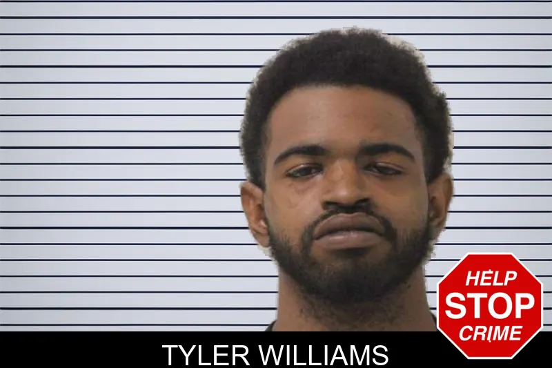 Tyler Williams mugshot